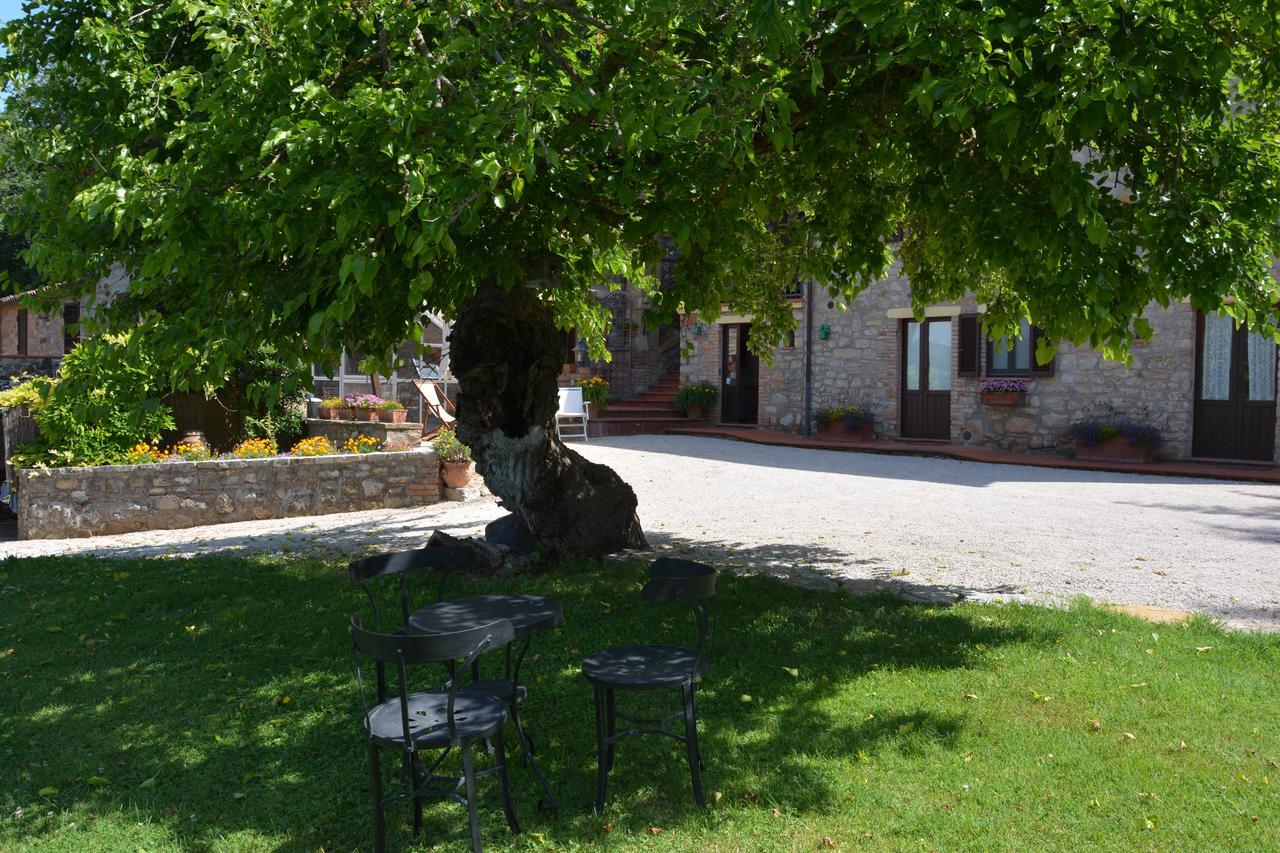 منزل الضيف Il Poggiolo Di Parrano المظهر الخارجي الصورة